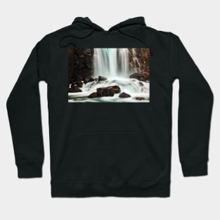 Oxararfoss Close-up Hoodie